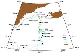 дрифтеры из Северо-Атлантического течения в течение Ирмингера