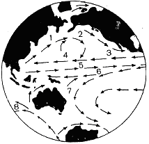 Система течений Тихого океана