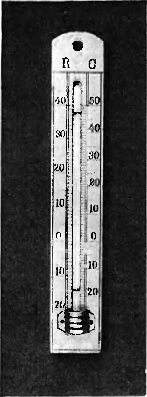 Комнатный термометр начала XX века со шкалами Цельсия и Реомюра