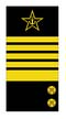 Нашивки адмирала флота ВМФ России